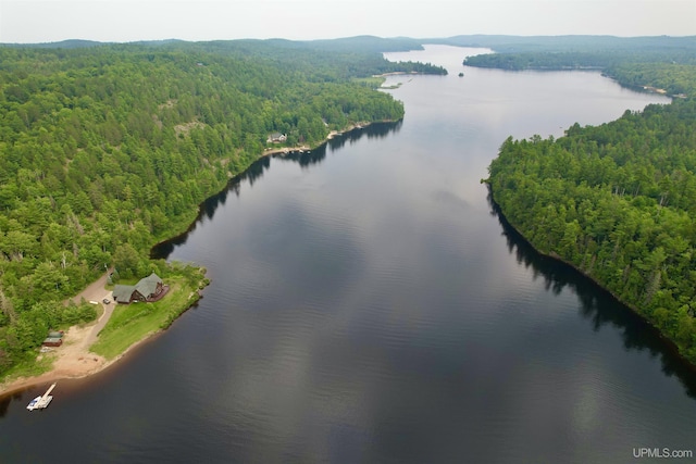 273 N Basin Dr, Negaunee, MI 49866 - drone / aerial view of a heavily wooded area