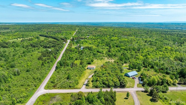 49962 Rosenlund Rd, Hancock, MI 49930 - bird's eye view of a heavily wooded area