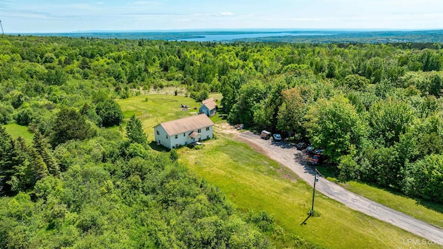 49962 Rosenlund Rd, Hancock, MI 49930 - drone / aerial view of a forest