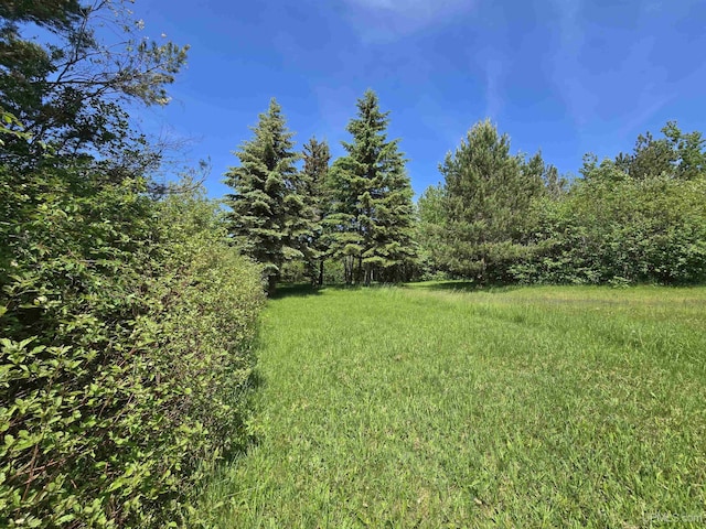 49962 Rosenlund Rd, Hancock, MI 49930 - view of yard