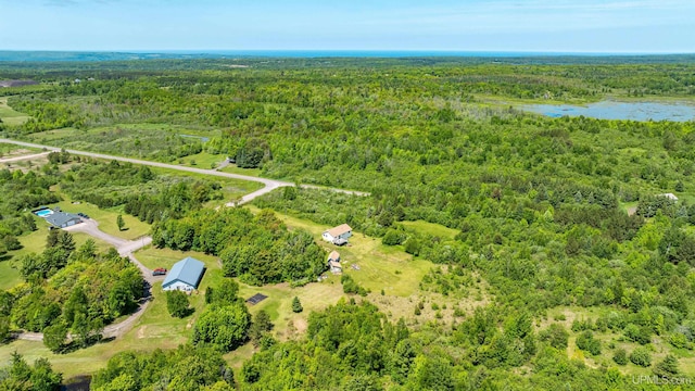 49962 Rosenlund Rd, Hancock, MI 49930 - drone / aerial view of a forest and a nearby body of water