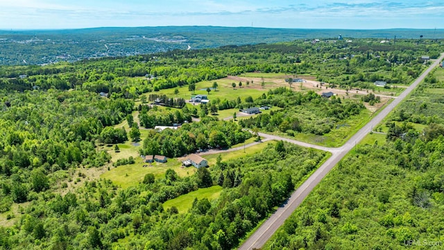 49962 Rosenlund Rd, Hancock, MI 49930 - bird's eye view of a forest