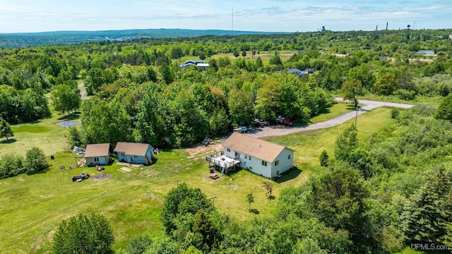 49962 Rosenlund Rd, Hancock, MI 49930 - drone / aerial view of a forest