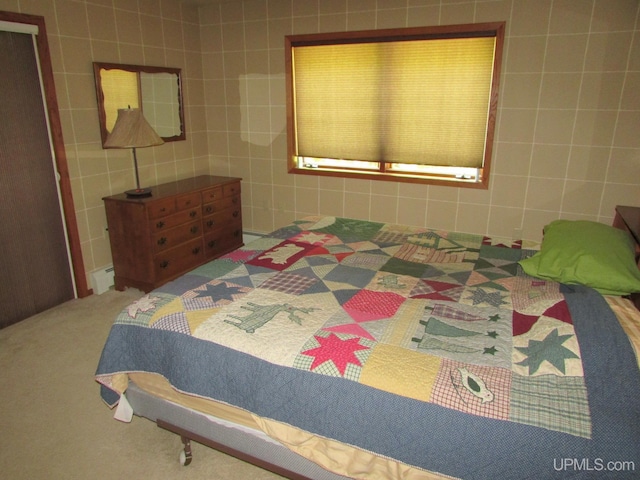 20517 Park Rd, Skanee, MI 49962 - bedroom featuring tile walls and carpet floors