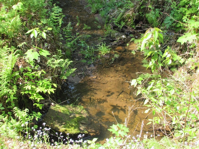 20517 Park Rd, Skanee, MI 49962 - view of local wilderness