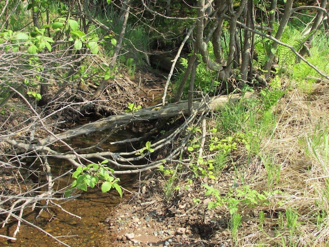 20517 Park Rd, Skanee, MI 49962 - view of nature