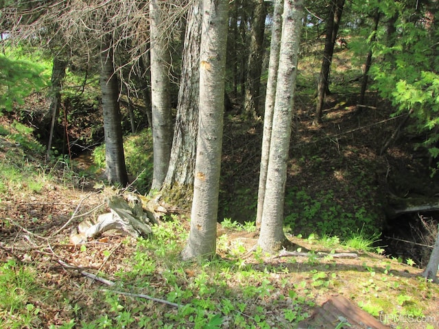 20517 Park Rd, Skanee, MI 49962 - view of local wilderness