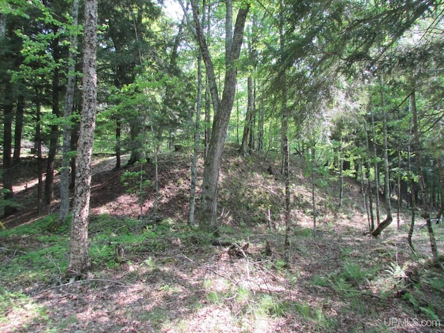20517 Park Rd, Skanee, MI 49962 - view of tree filled area