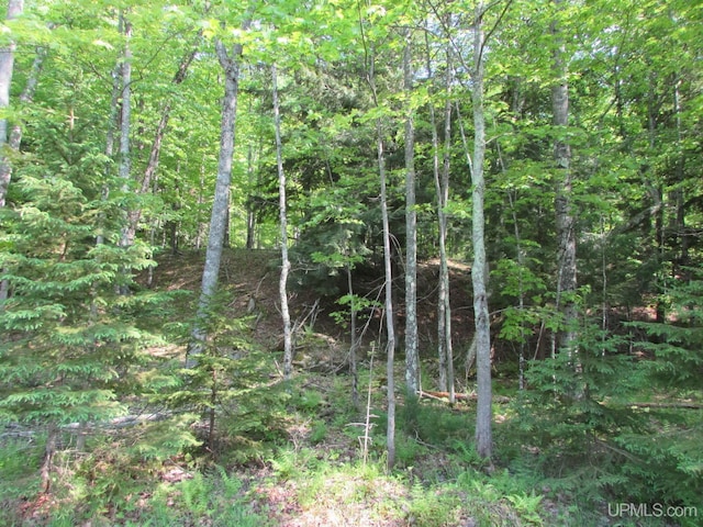 20517 Park Rd, Skanee, MI 49962 - view of wooded area