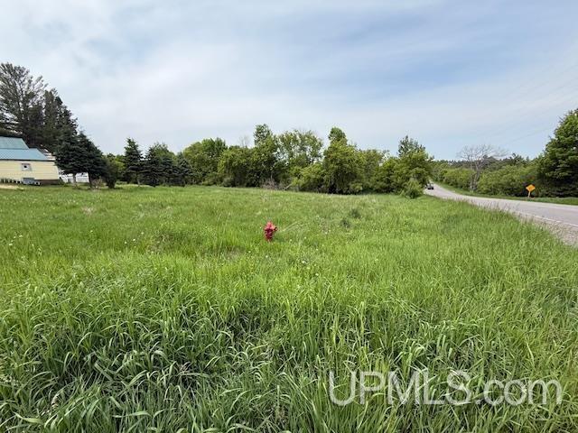 TBD Lake St, Florence T-Wi, WI 54121