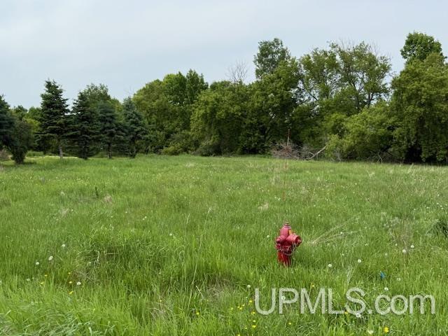 TBD Lake St, Florence T-Wi, WI 54121