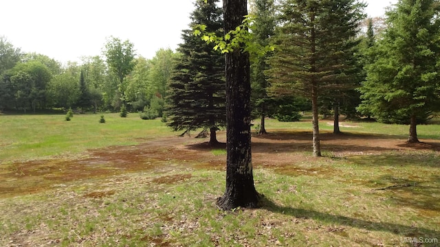 10031 N Ross Lake Rd, Shingleton, MI 49884 - view of woods