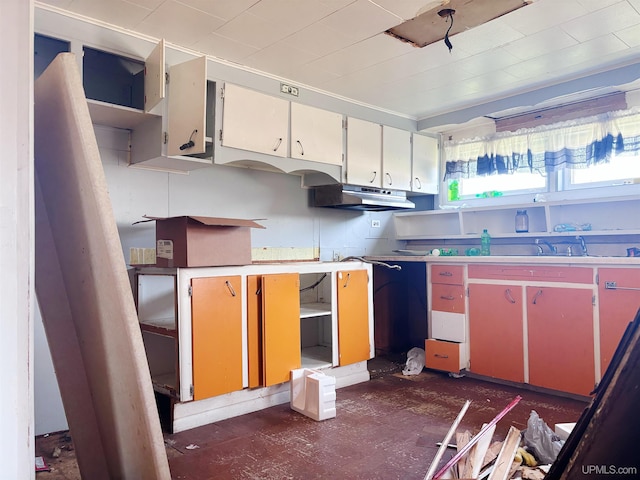 345 N Maple St, Manistique, MI 49854 - kitchen with under cabinet range hood and a sink