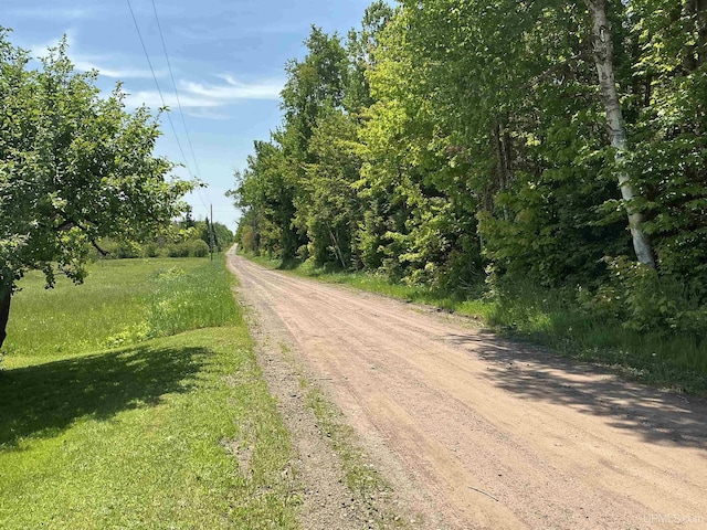 232 Winberg Rd, Skandia, MI 49885 - view of dirt / gravel road