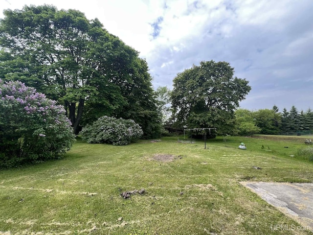 228 Schoolcraft Ave, Manistique, MI 49854 - view of green lawn