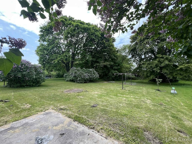 228 Schoolcraft Ave, Manistique, MI 49854 - view of green lawn featuring view of scattered trees
