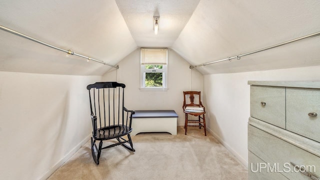 216 Mine St, Norway, MI 49870 - sitting room featuring carpet flooring and lofted ceiling