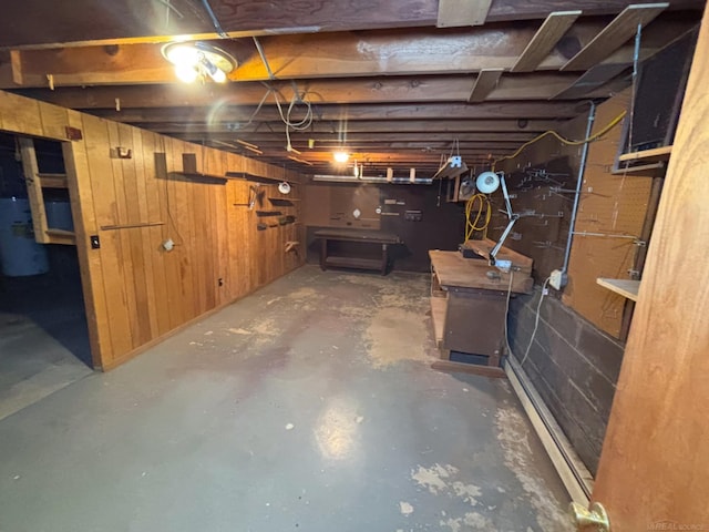 10301 County Farm Rd, Parma, MI 49269 - unfinished below grade area with water heater