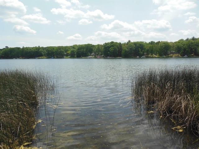 3266 Van Deusen Rd, Harrison, MI 48625 - water view