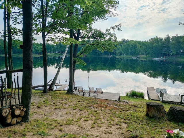 801 W Rd, Harrison, MI 48625 - water view featuring a dock