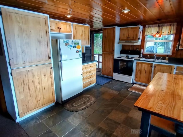 801 W Rd, Harrison, MI 48625 - kitchen with electric stove, freestanding refrigerator, plenty of natural light, under cabinet range hood, and wood ceiling