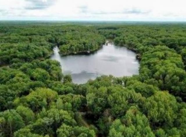 801 W Rd, Harrison, MI 48625 - bird's eye view of a forest and a nearby body of water