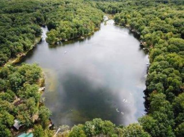 801 W Rd, Harrison, MI 48625 - aerial view of a large body of water