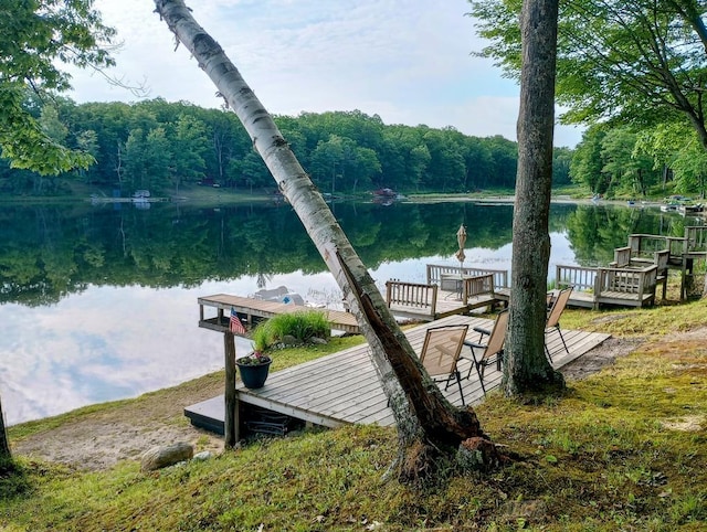 801 W Rd, Harrison, MI 48625 - dock area featuring a water view and a wooded view
