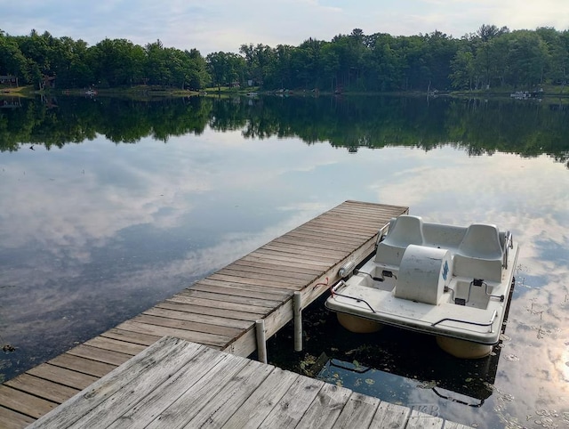 801 W Rd, Harrison, MI 48625 - dock area featuring a water view and a view of trees