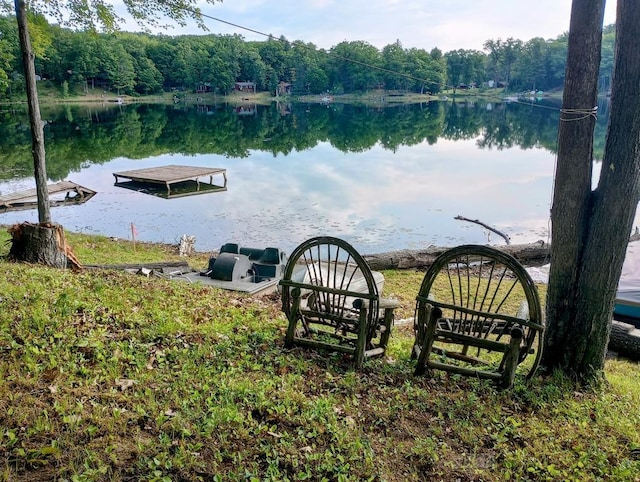 801 W Rd, Harrison, MI 48625 - dock featuring a water view and a wooded view