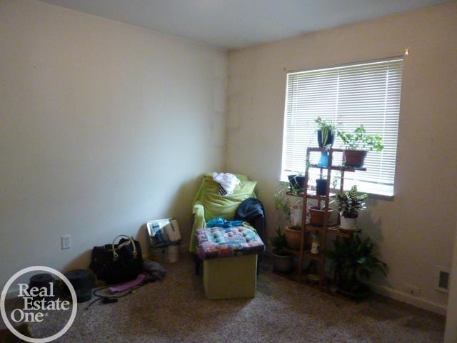 20127 14 Mile Rd, Clinton Township, MI 48035 - sitting room featuring carpet flooring