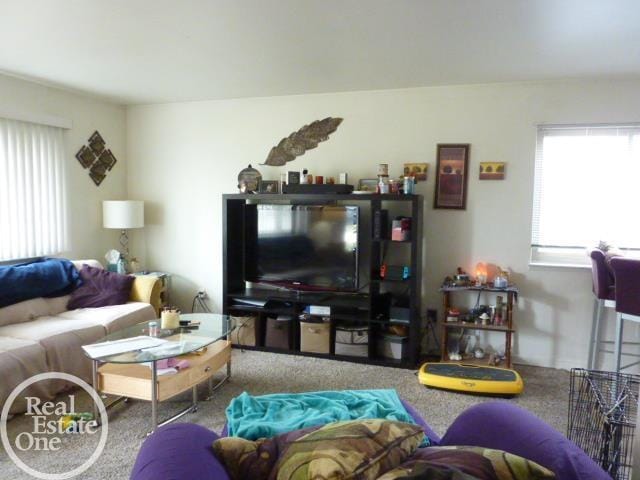 20127 14 Mile Rd, Clinton Township, MI 48035 - view of carpeted living area