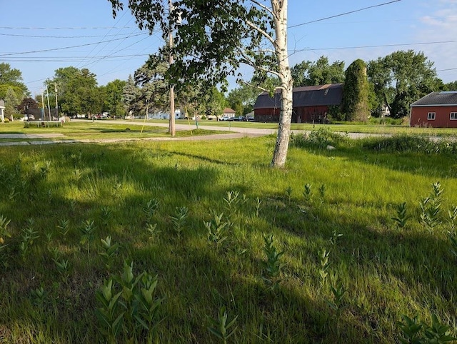 2920 Lauria Rd, Kawkawlin, MI 48706 - view of yard