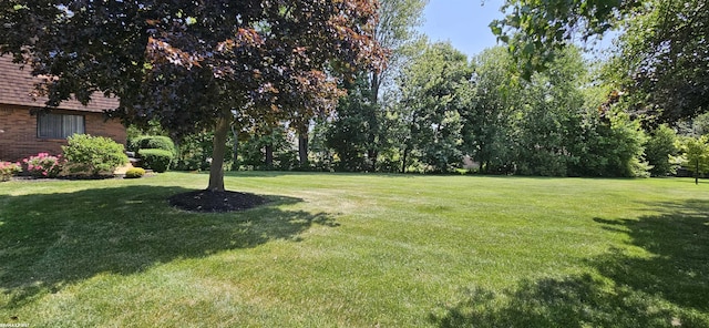 38544 Lanse Creuse St Unit 12, Harrison Twp, MI 48045 - view of green lawn
