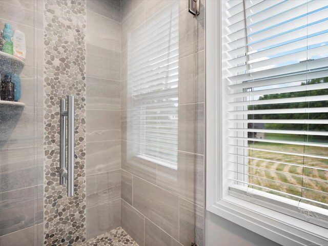 4661 Applewood Ct, Rochester, MI 48306 - full bathroom featuring plenty of natural light and a stall shower