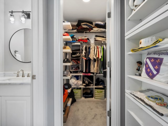 4661 Applewood Ct, Rochester, MI 48306 - spacious closet featuring a sink and carpet floors