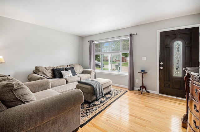 34147 Whittaker St, Clinton Township, MI 48035 - living room with light wood-style floors and baseboards