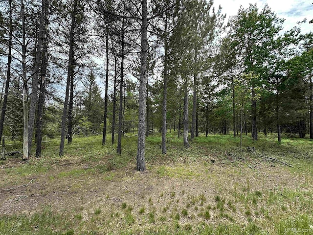 TBD M35 Rd, Gwinn, MI 49841