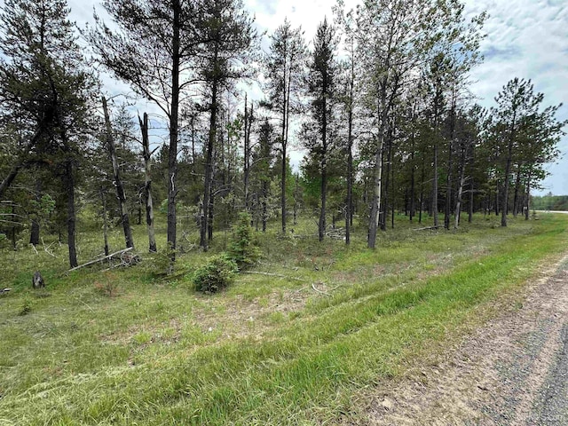 TBD M35 Rd, Gwinn, MI 49841