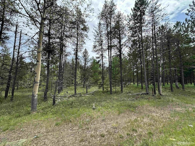 TBD M35 Rd, Gwinn, MI 49841
