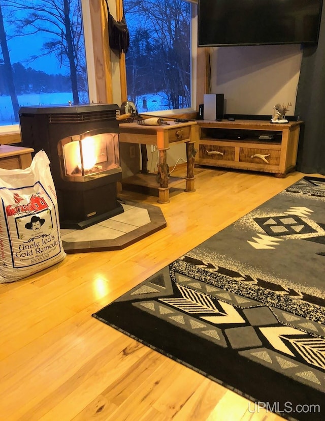 790 N Horseshoe Lake Dr, Gwinn, MI 49841 - detailed view of a wood stove and wood finished floors