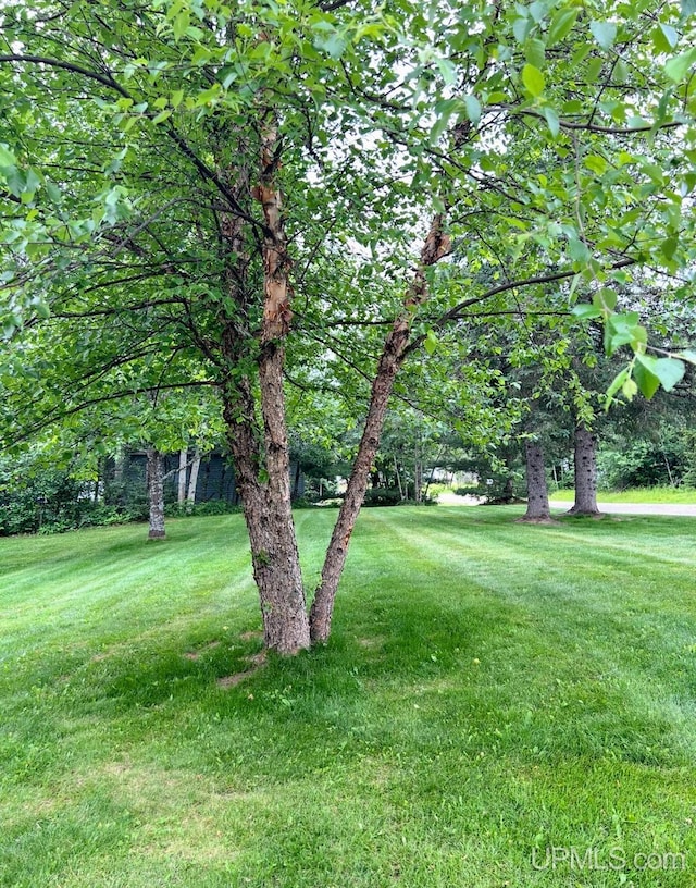 790 N Horseshoe Lake Dr, Gwinn, MI 49841 - view of green lawn