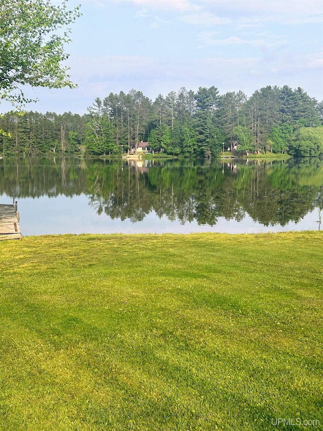 790 N Horseshoe Lake Dr, Gwinn, MI 49841 - water view with a forest