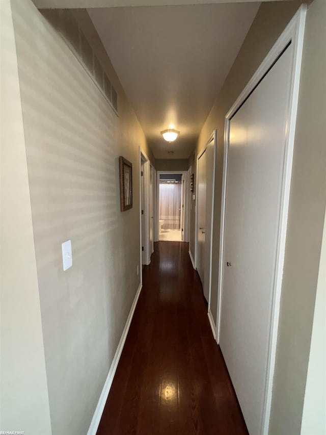 51767 Huntley Ave, New Baltimore, MI 48047 - hall with dark wood-style floors and baseboards