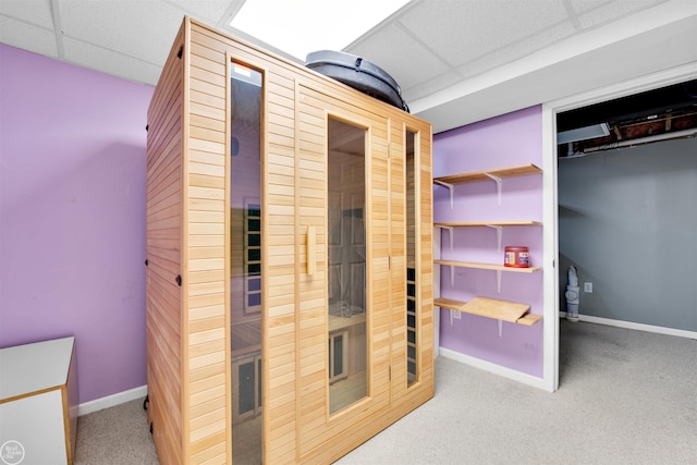 52047 Sycamore Dr, Chesterfield, MI 48047 - sauna / steam room with carpet