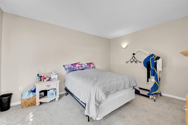 52047 Sycamore Dr, Chesterfield, MI 48047 - bedroom with carpet floors and baseboards