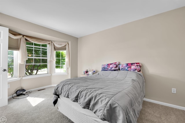 52047 Sycamore Dr, Chesterfield, MI 48047 - carpeted bedroom featuring baseboards