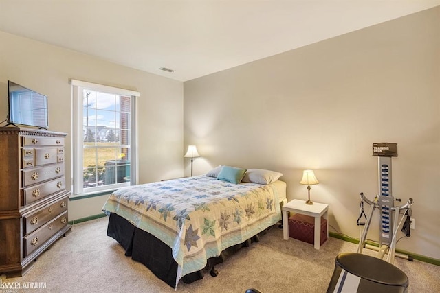 45592 Warwick Dr, Macomb Twp, MI 48044 - bedroom featuring light colored carpet