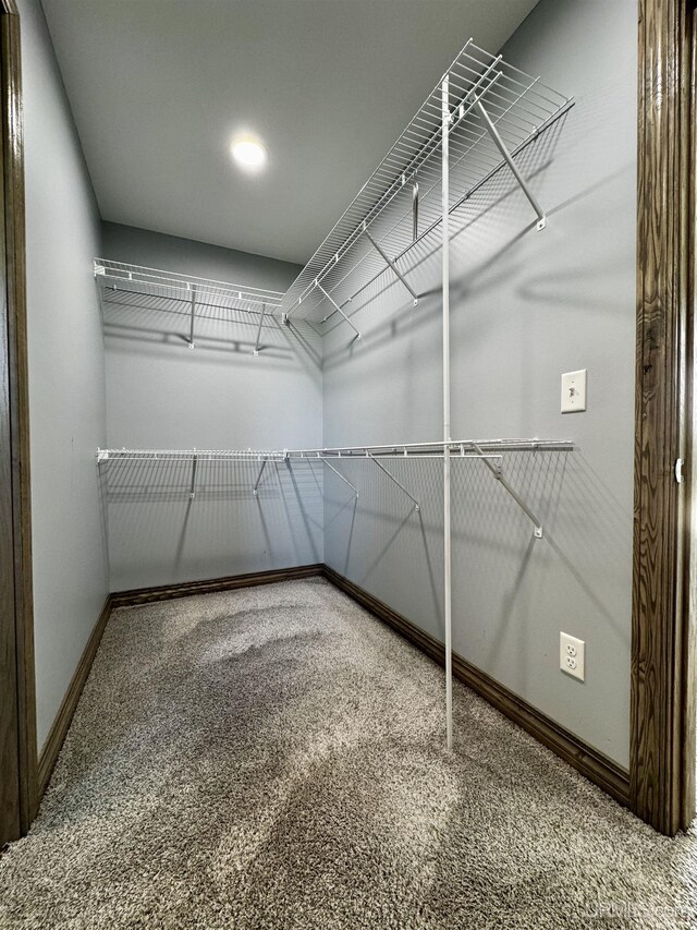 1084 15.5 Rd, Bark River, MI 49807 - walk in closet featuring carpet floors