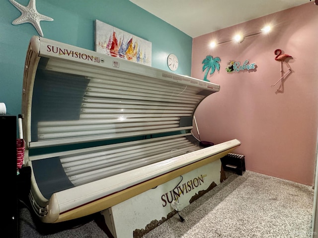 1084 15.5 Rd, Bark River, MI 49807 - miscellaneous room featuring a tanning bed and carpet